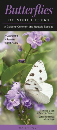 Butterflies of North Texas