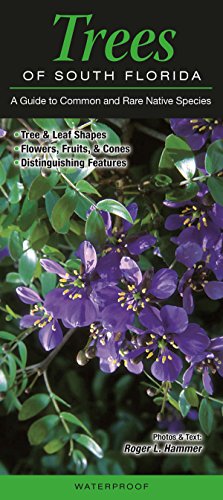 Trees of South Florida a Guide to Common & Rare Native Species