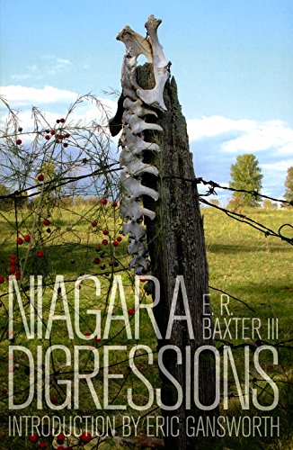 Niagara Digressions