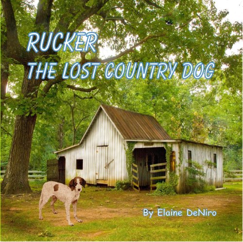 Rucker, the Lost Country Dog