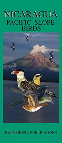 Nicaragua: Pacific Slope Birds