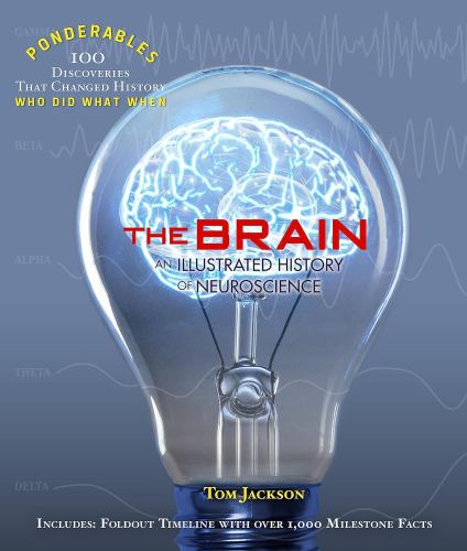 The Brain
