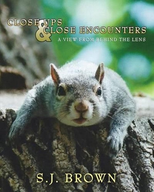 Close Ups and Close Encounters