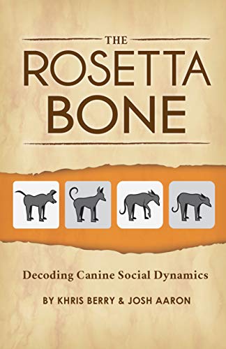 The Rosetta Bone