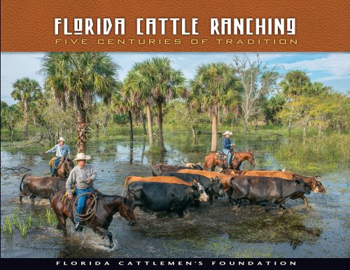Florida Cattle Ranching: Five Centuries Of Tradition