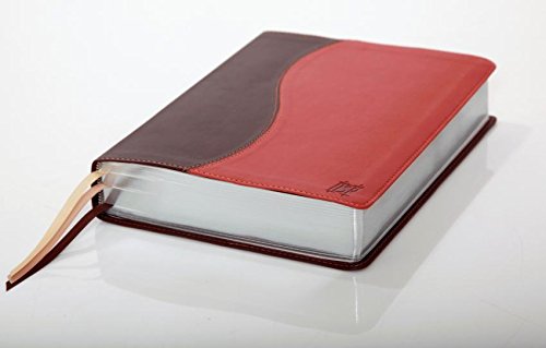The Scriptures (Duotone Tan)