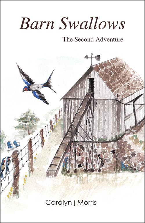Barn Swallows