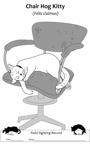 Kitty Cat Positions Home  Afield Printed Edition