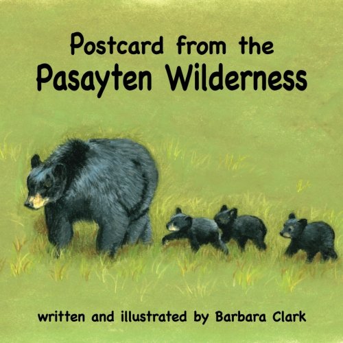 Postcard from the Pasayten Wilderness