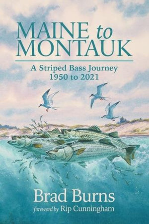 Maine to Montauk