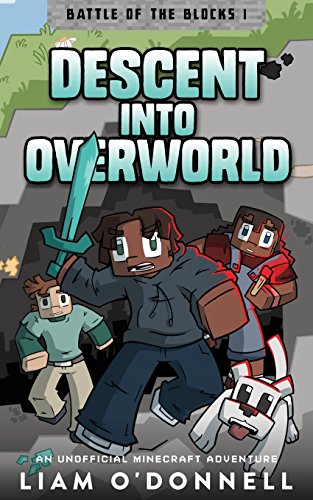 Descent into Overworld