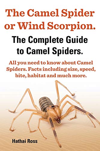 The Camel Spider or Wind Scorpion, The Complete Guide to Camel Spiders.