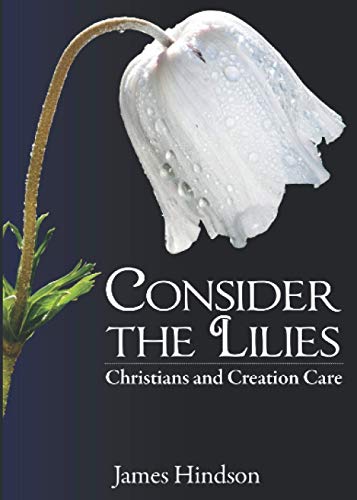 Consider the Lilies