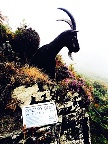 The Exmoor Poetry Boxes: A Harvest of Wild Words