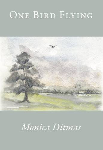 One Bird Flying