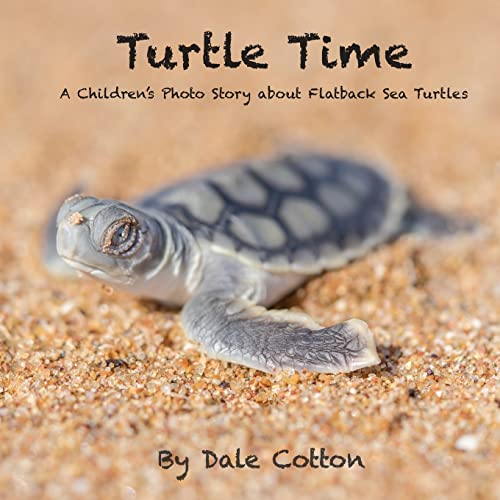 Turtle Time