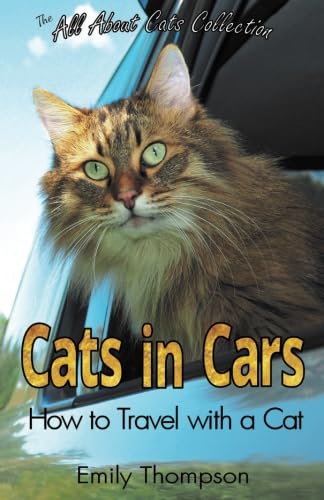 Cats in Cars: How to Travel with a Cat