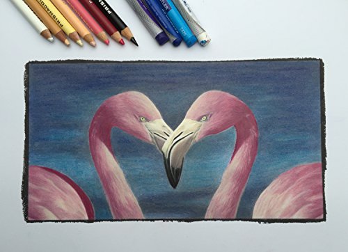 Beautiful Creatures: A Boundless Coloring Book Adventure