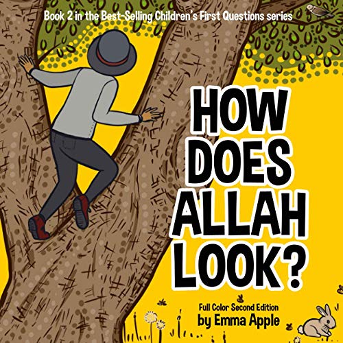 How Does Allah Look?