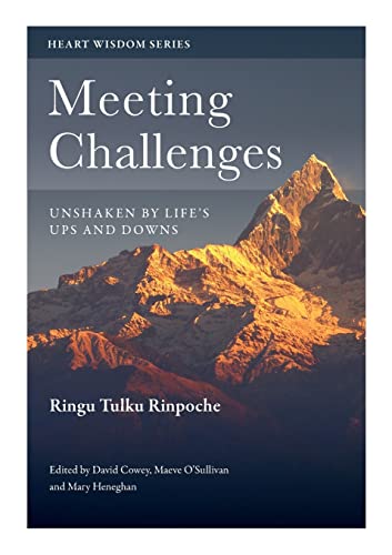 Meeting Challenges