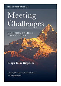 Meeting Challenges 