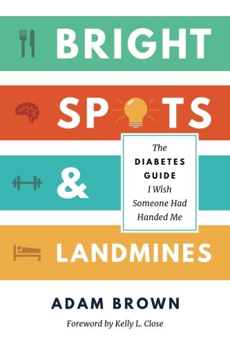Bright Spots  Landmines The Diabetes Guide I Wish Someone Had Handed Me MMOLL Edition
