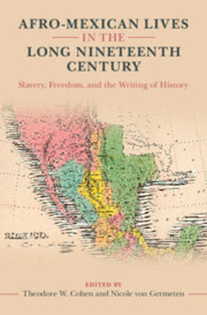 Afro-Mexican Lives in the Long Nineteenth Century