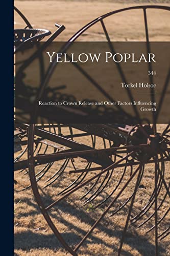 Yellow Poplar