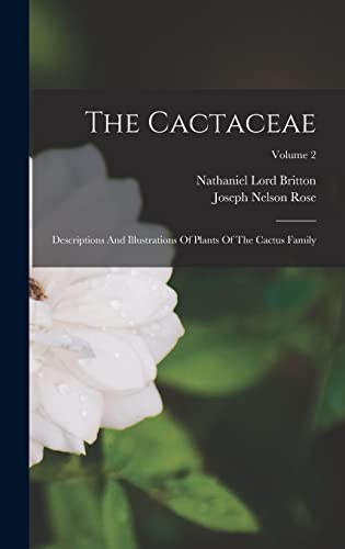 The Cactaceae