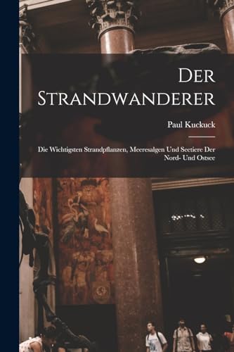 Der Strandwanderer