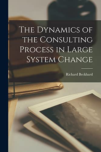 The Dynamics of the Consulting Process in Large System Change