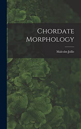 Chordate Morphology