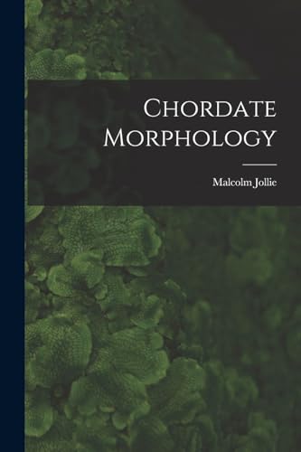 Chordate Morphology