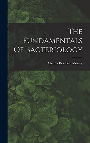 The Fundamentals Of Bacteriology