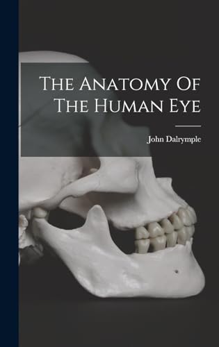 The Anatomy Of The Human Eye