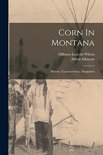 Corn In Montana