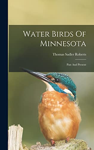 Water Birds Of Minnesota