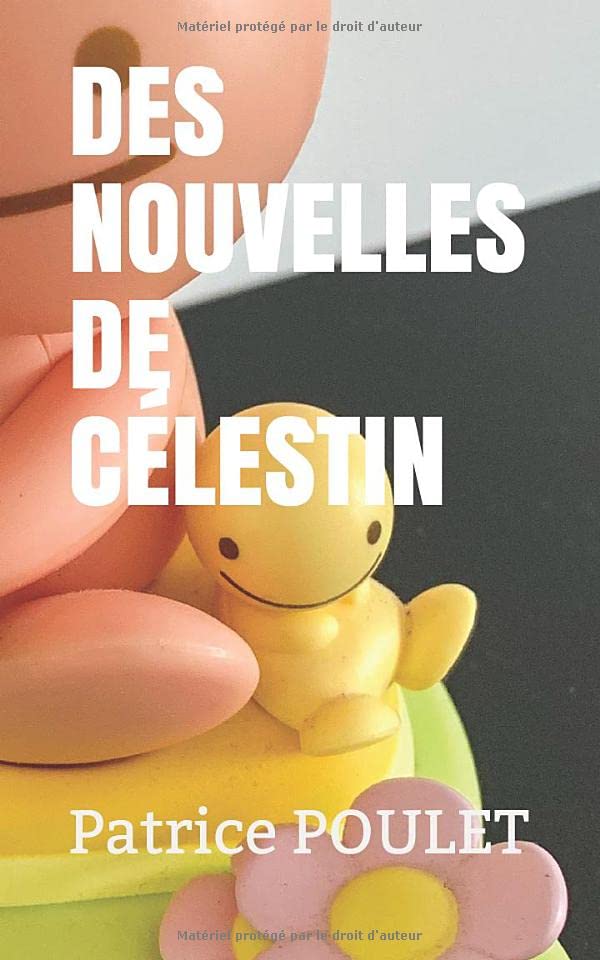 DES NOUVELLES DE CÉLESTIN (French Edition)