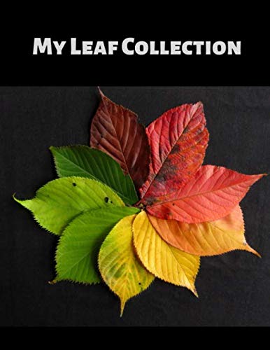 My Leaf Collection: Activity Book for Adults and Kids of All Ages in 8.5" x 11" with 100 blank pages