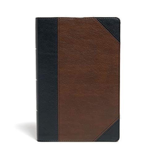 KJV Large Print Personal Size Reference Bible, Black/Brown