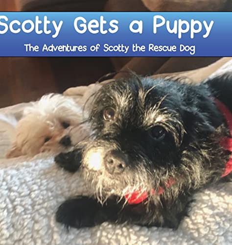 Scotty Gets a Puppy