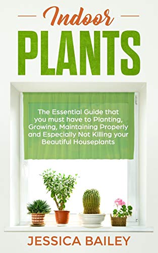 Indoor Plants