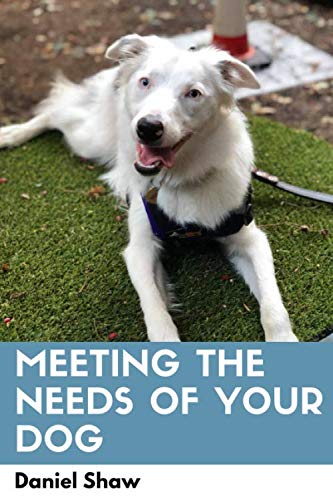 Meeting the Needs of Your Dog
