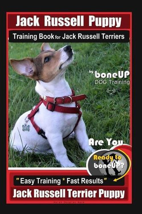 Jack Russell Puppy Training Book for Jack Russell Terriers By BoneUP ...