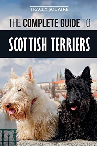 The Complete Guide to Scottish Terriers