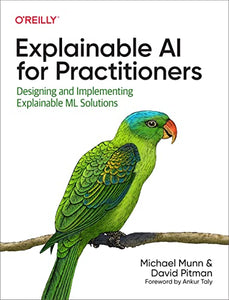 Explainable AI for Practitioners 