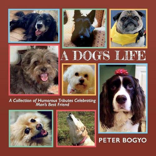 A Dog's Life