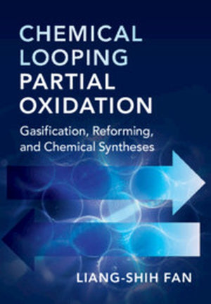 Chemical Looping Partial Oxidation