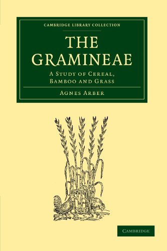 The Gramineae