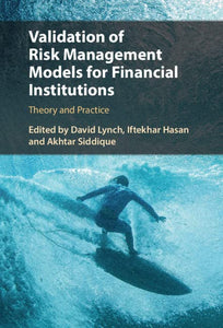 Validation of Risk Management Models for Financial Institutions 